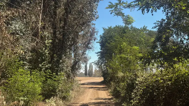 Camino de acceso al loteo San Luis de Molina