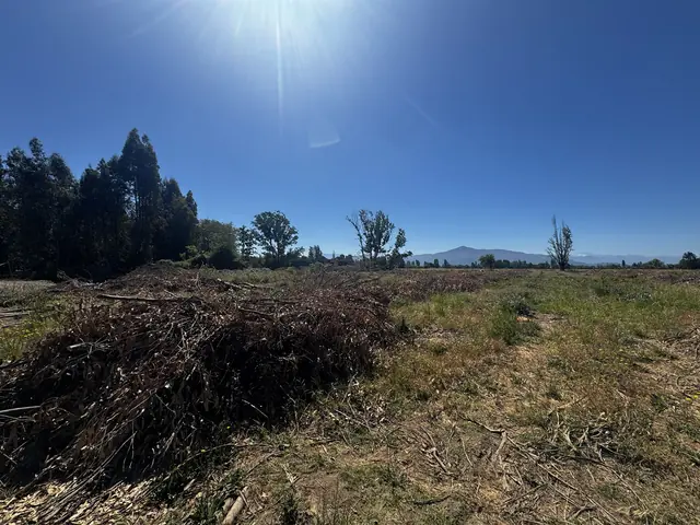 Preparación de terreno en San Luis de Molina